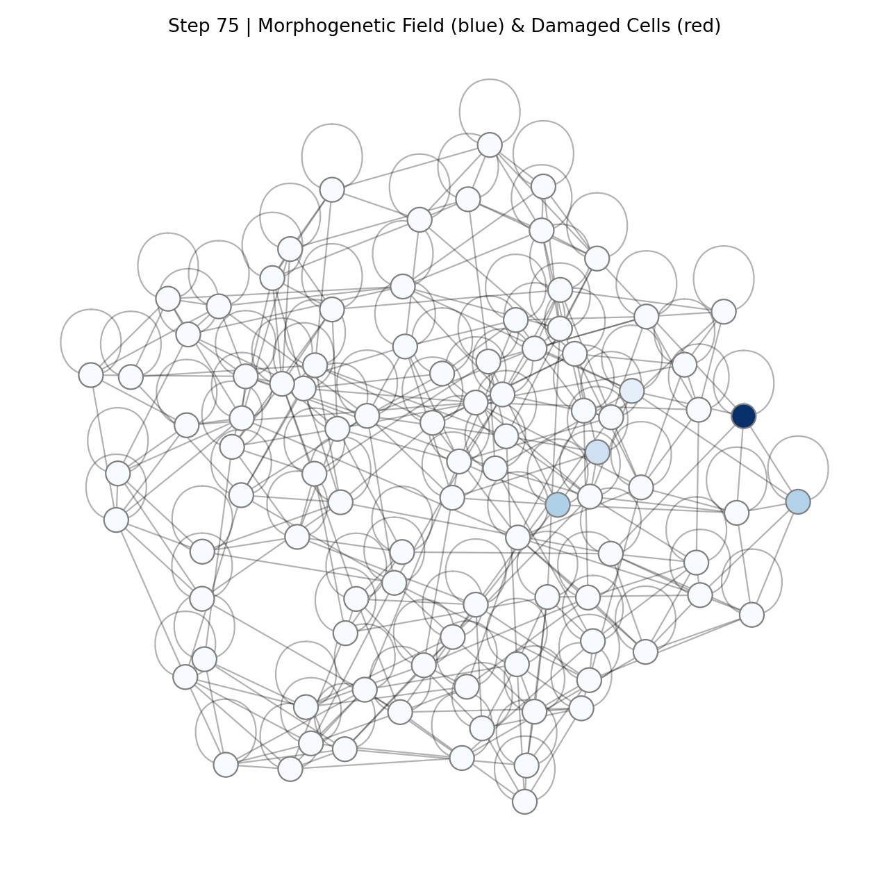 Healthy Organism at Step 75 showing stable homeostatic state