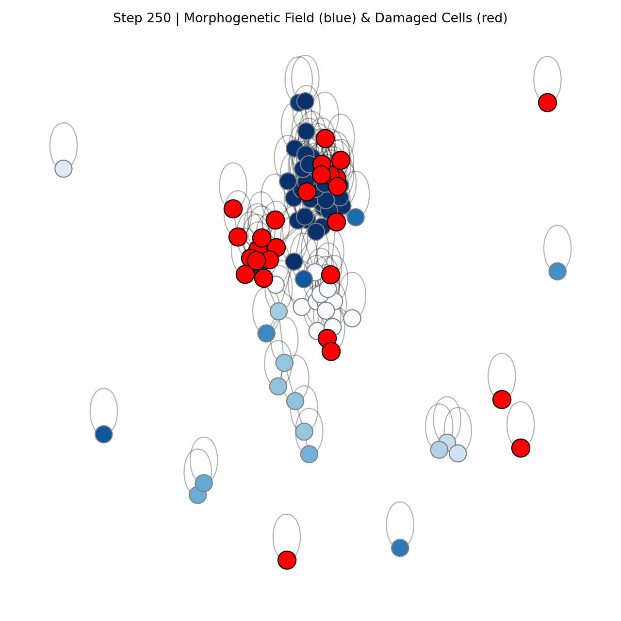 Healthy Organism at Step 250 showing active regeneration