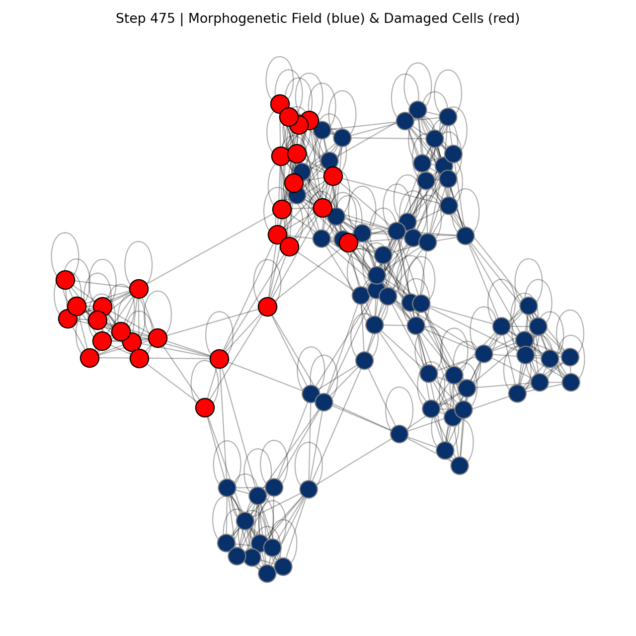 Healthy Organism at Step 475 showing near complete regeneration